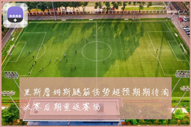 里斯詹姆斯腿筋伤势超预期期待淘汰赛后期重返赛场