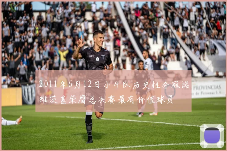 2011年6月12日小牛队历史性夺冠诺维茨基荣膺总决赛最有价值球员