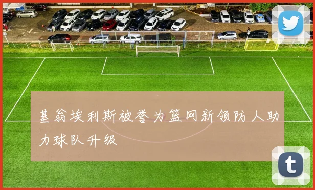 基翁埃利斯被誉为篮网新领防人助力球队升级