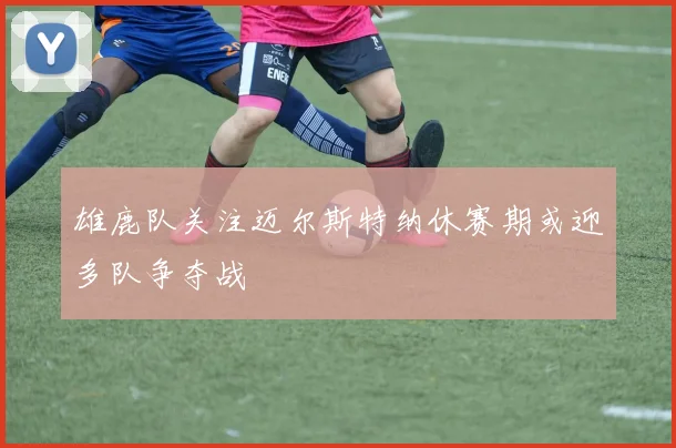 雄鹿队关注迈尔斯特纳休赛期或迎多队争夺战
